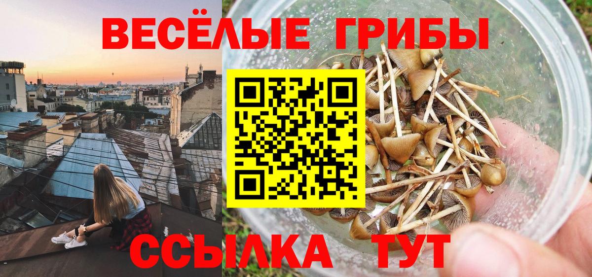 Калининград  наркошоп  Вход с VPN  Галлюциногенные грибы Cubensis 